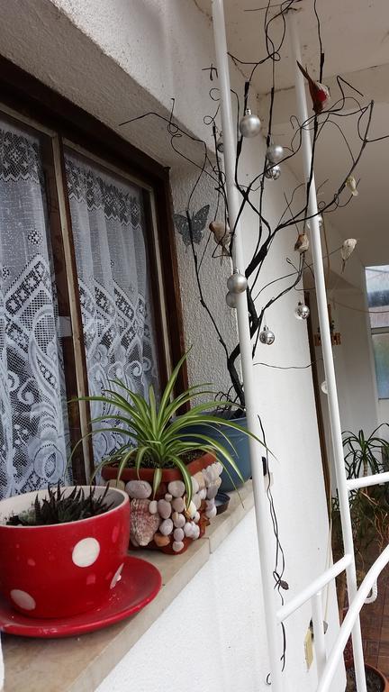 Apartments Aida Bihać Extérieur photo
